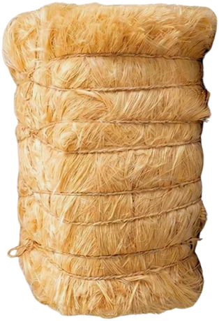 Henequén